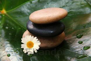 百色学院王牌专业有哪些?附2024最新王牌专业排名一览表