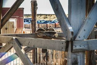 2024年上海第二工业大学在河南计划招生人数(附学费及专业录取分)