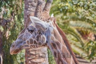 2024年山东力明科技职业学院在四川计划招生人数(附学费及专业录取分)