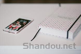 2024年山东力明科技职业学院在四川计划招生人数(附学费及专业录取分)