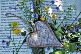 2024年山东力明科技职业学院在四川计划招生人数(附学费及专业录取分)