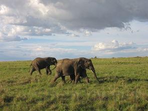 山西大学2024年各学科排名一览表!附教育部评级比例