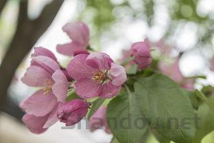 2024年玉溪师范学院在河南计划招生人数(附学费及专业录取分)