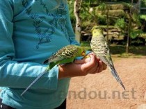 清华大学2024年各学科排名一览表！附教育部评级比例