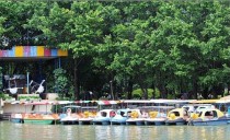 手动划船机十大排名,国内什么牌子的划船机好？国产划船机十大品牌