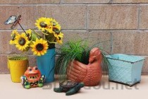 2024年济南护理职业学院在四川计划招生人数（附学费及专业录取分)