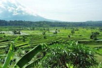 世界上最酸火山，世界上最酸火山排名