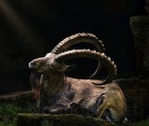 寻找世界上最牛的人，找到世界上最出名的图片