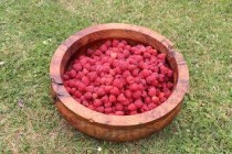 昆明十大最美民宿2025年排行榜前十名榜单出炉