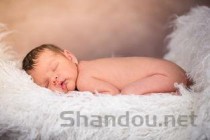 猫咪鼻塞流鼻涕是什么引起的？猫咪鼻塞流鼻涕该用什么办法？