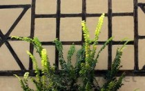 杭州十大旅行社2025年排行榜前十名榜单出炉