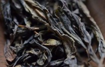 中国最喜爱的省份中国哪个省最好