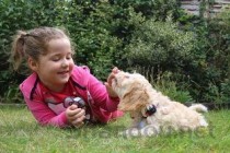 狗狗尿尿的地方肿了是什么情况？要怎么应对？