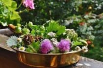 2024年天府新区航空旅游职业学院在河南计划招生人数（附学费及专业录取分)