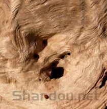 2024年河北医科大学临床学院在新疆计划招生人数（附学费及专业录取分)