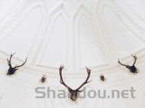 中国最牛竹签视频教程（竹签怎么做简单的手工）