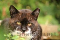 丐帮十大帮主2025年排行榜前十名榜单出炉