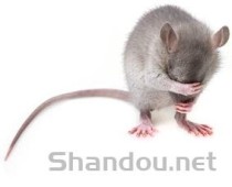 猫咪左眼睁不开有打喷嚏是什么原因？怎么办？