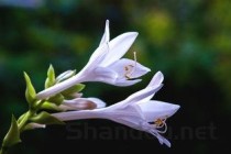 山西十大适合清明节旅游的地方2025年排行榜前十名榜单出炉