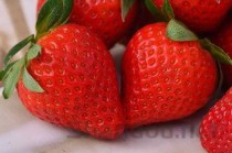 中国古代十大巾帼女英雄2025年排行榜前十名榜单出炉