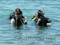 世界十大干邑，世界前十大干尸图片