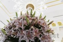 中国十大最大游泳馆2025年排行榜前十名榜单出炉