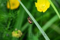 2021年最好听古风歌曲前十名2025年排行榜前十名榜单出炉