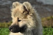 2024年南昌影视传播职业学院在四川计划招生人数（附学费及专业录取分)