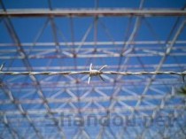 天津天狮学院王牌专业有哪些？附2024最新王牌专业排名一览表