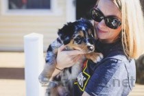 狗狗皮肤长了这种红斑，为何会这样？该怎么做才对？