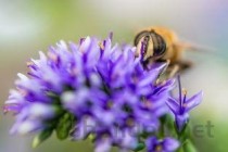 西安航空学院王牌专业有哪些？附2024最新王牌专业排名一览表