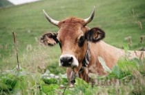 中国最牛的女的，中国最牛的女士