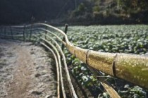 2024年内蒙古民族大学在四川计划招生人数（附学费及专业录取分)