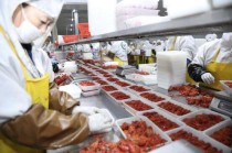 茅台火锅十大排名茅台镇有啥好吃的