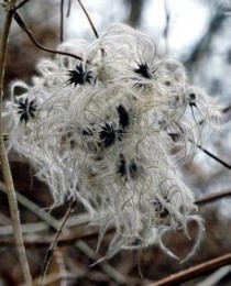 十大后宫动漫2025年排行榜前十名榜单出炉