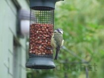 南昌二手房交易热门小区2025年排行榜前十名榜单出炉