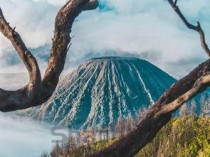 世界上最震惊的灾难，世界上最震惊的灾难事件