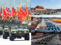 世界最智能拖车排名前十车险十大保险公司排名