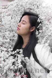 中国年轻女歌手国画图片，中国最年轻女歌手