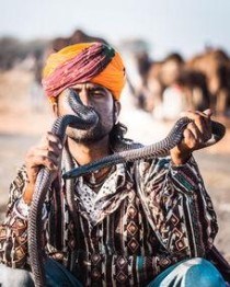 世界上最受欢迎的奥特曼是谁，世界上最迷恋奥特曼的人