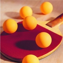 乒乓球世界前十球拍配置,乒乓球拍的配置