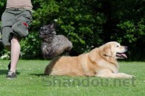 重庆医科大学2024年各学科排名一览表！附教育部评级比例