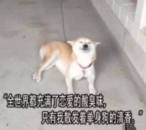 保尔柯察金的三段恋情（冬妮娅和保尔同睡的照片）世界上最臭的人