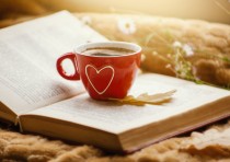 2024年黑龙江农业工程职业学院在广东计划招生人数（附学费及专业录取分）