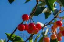 辽宁传媒学院王牌专业有哪些？附2024最新王牌专业排名一览表