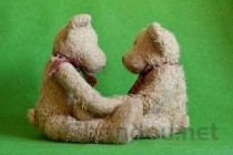 猫咪皮肤病检查毛囊炎是啥情况？该咋整？