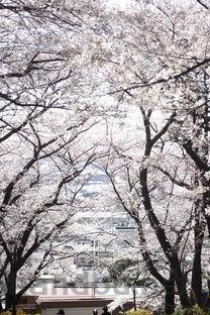 2021世界前十专辑，2021世界专辑销量排行