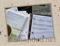 2024年沈阳北软信息职业技术学院在河南计划招生人数（附学费及专业录取分)