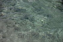 狗狗拉稀流绿鼻涕是什么缘故？怎么弄会好？