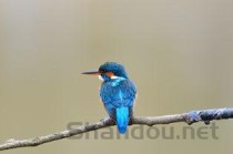 中国足球历史十大球星2025年排行榜前十名榜单出炉